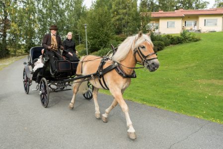 vihkipari saapuu hevosella