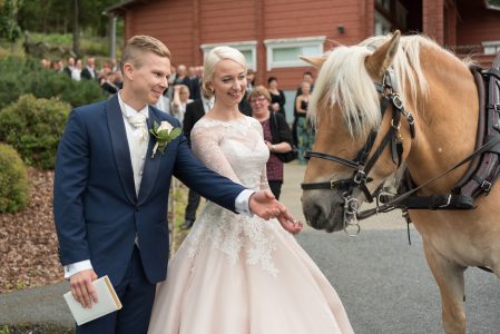 hääpari ja hevonen